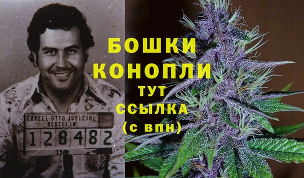 прущая мука Вязники