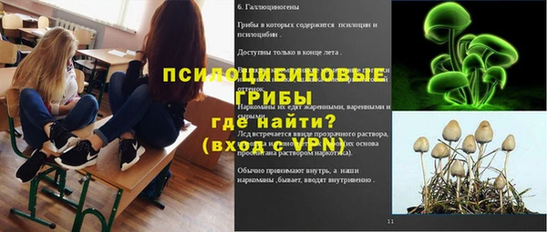 твердый Вязьма