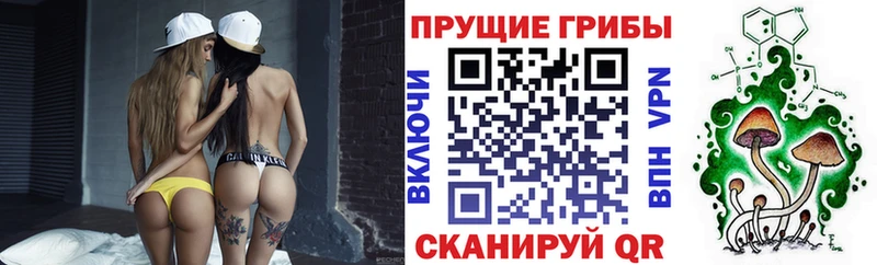 Псилоцибиновые грибы Psilocybe  Купить  Нефтекумск 